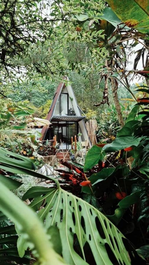 Glamping Salento Con Jacuzzi Climatizado Hotel Exterior photo